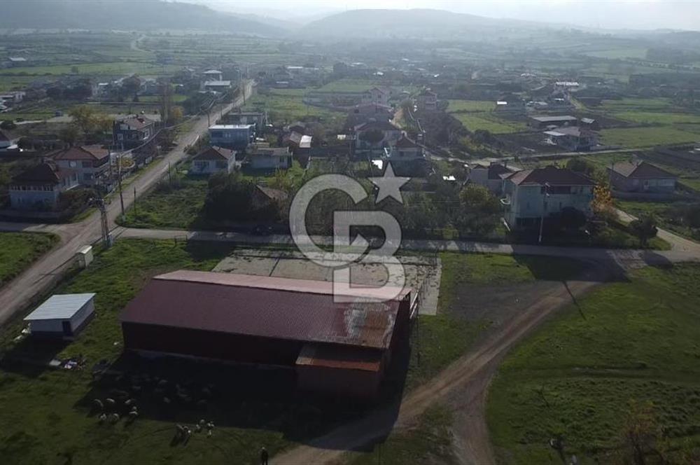 Biga Güvemalan Satılık Arsa 