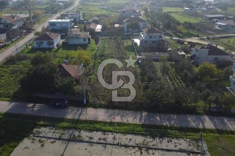 Biga Güvemalan Satılık Arsa 