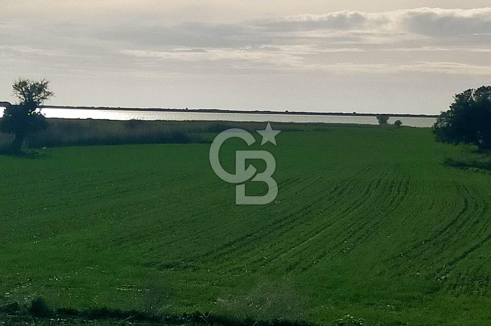 Göl Manzaralı | Küçükanafartalar Ada 350 Parsel 303 | Tarla