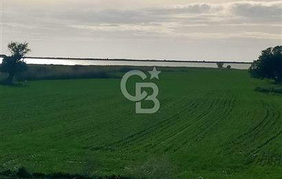 Göl Manzaralı | Küçükanafartalar Ada 350 Parsel 303 | Tarla