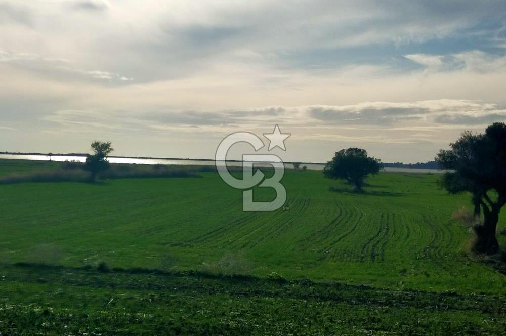 Göl Manzaralı | Küçükanafartalar Ada 350 Parsel 303 | Tarla