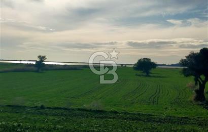 Göl Manzaralı | Küçükanafartalar Ada 350 Parsel 303 | Tarla
