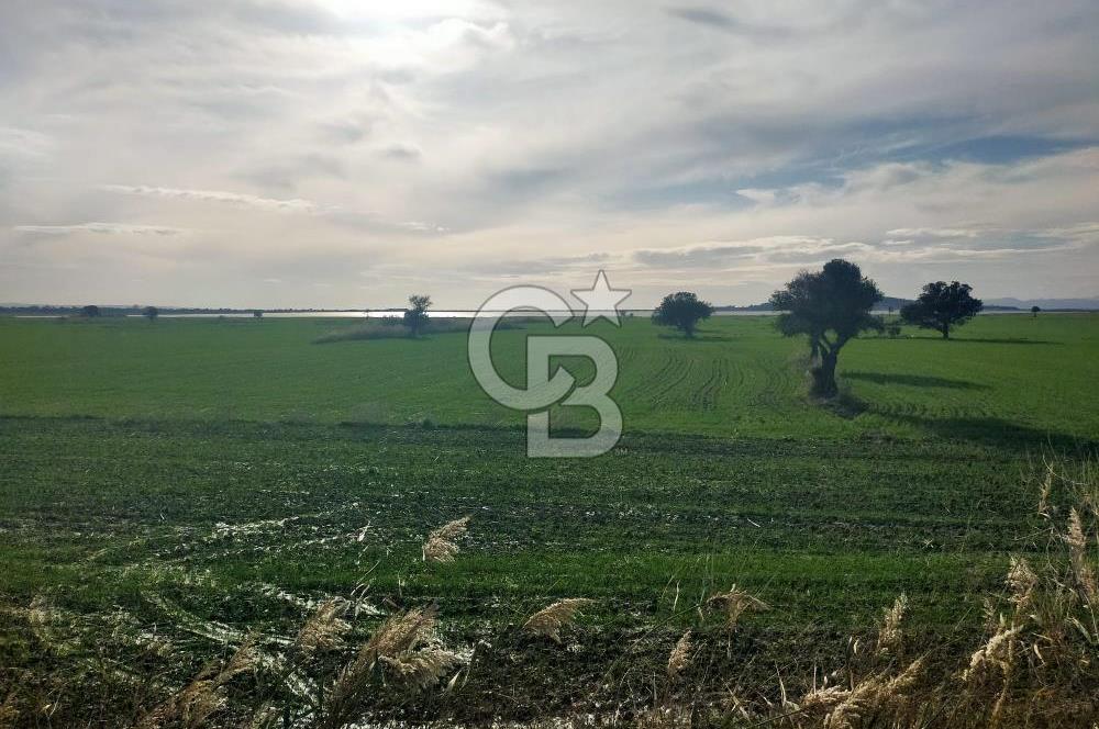 Göl Manzaralı | Küçükanafartalar Ada 350 Parsel 303 | Tarla