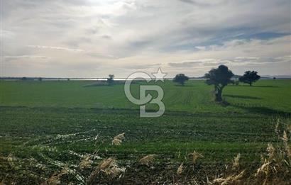 Göl Manzaralı | Küçükanafartalar Ada 350 Parsel 303 | Tarla
