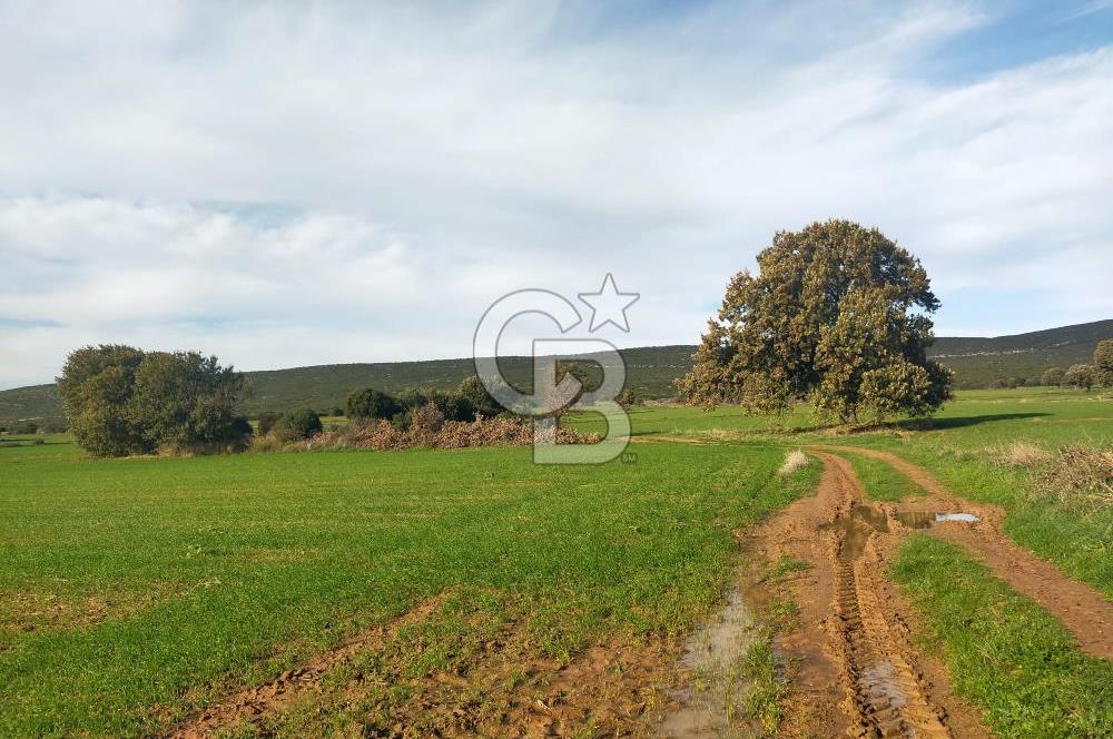 Yola Cepheli Küçükanafartalarda Ada 350 Parsel 69 | Tarla