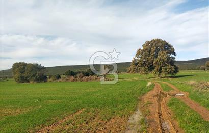 Yola Cepheli Küçükanafartalarda Ada 350 Parsel 69 | Tarla