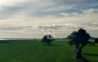 Göl Manzaralı | Küçükanafartalar Ada 350 Parsel 303 | Tarla