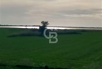 Göl Manzaralı | Küçükanafartalar Ada 350 Parsel 303 | Tarla - 3 - 321283