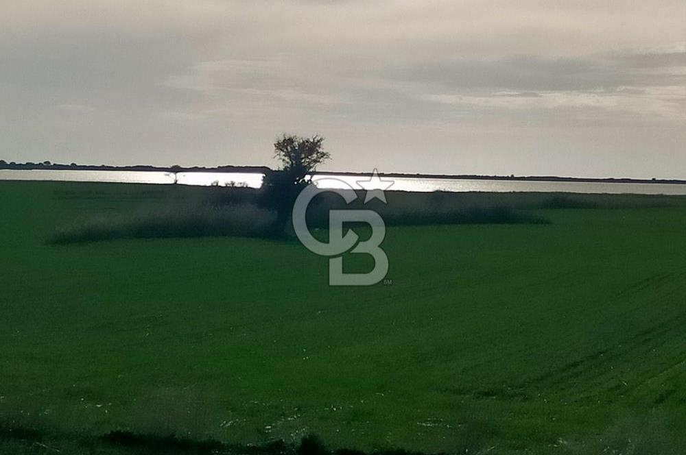 Göl Manzaralı | Küçükanafartalar Ada 350 Parsel 303 | Tarla