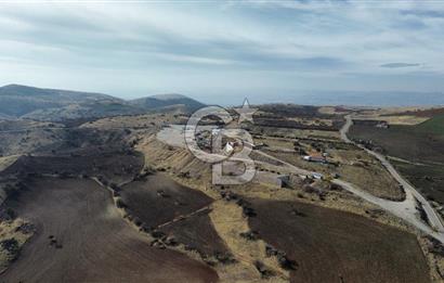 Çankata tohumlar 440 M2 tarla