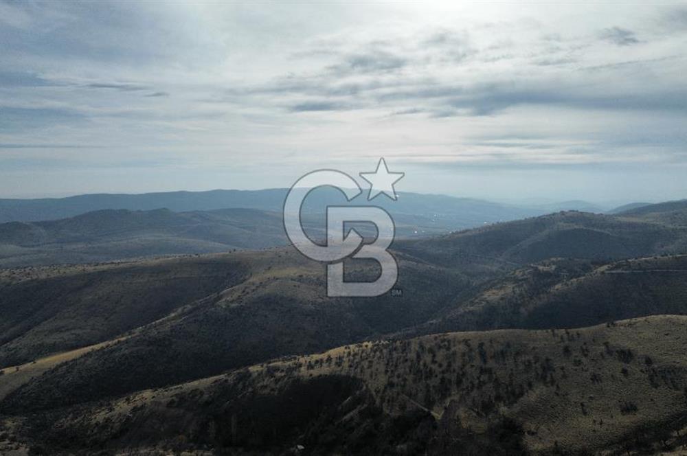 Çankata tohumlar 440 M2 tarla