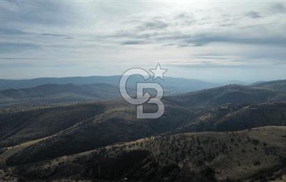 Çankata tohumlar 440 M2 tarla