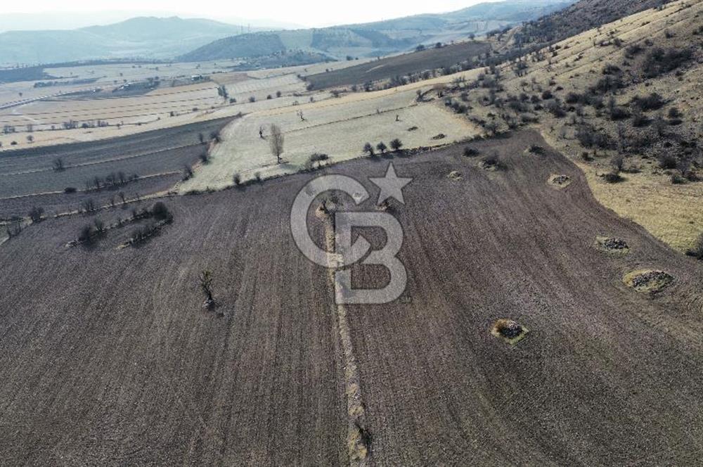 Çankaya Tohumlar 1880m2 Güzel Konumda Tarla
