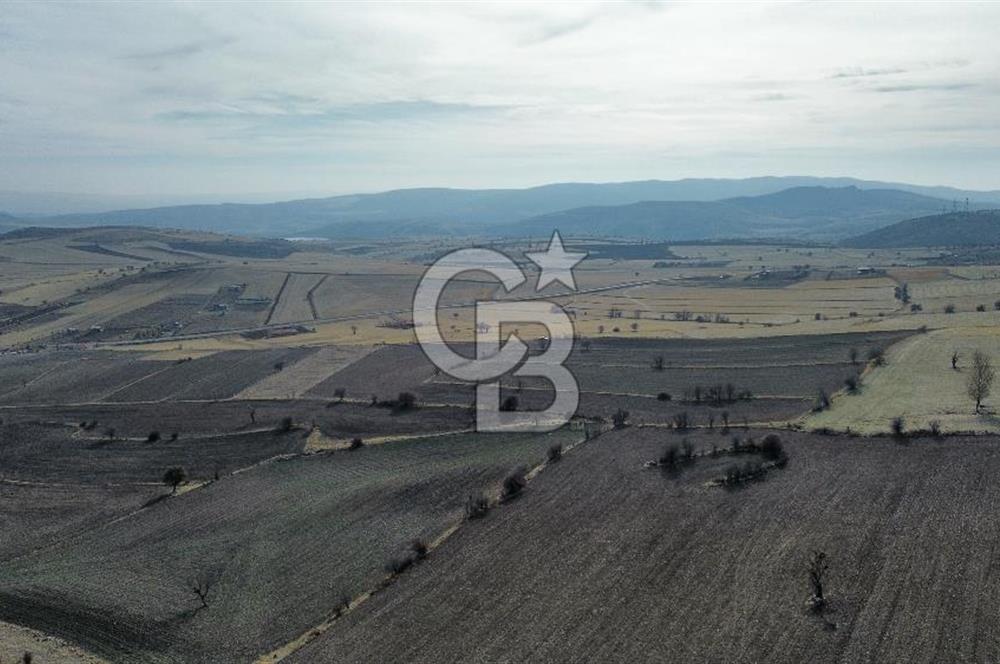Çankaya Tohumlar 1880m2 Güzel Konumda Tarla