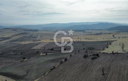 Çankaya Tohumlar 1880m2 Güzel Konumda Tarla