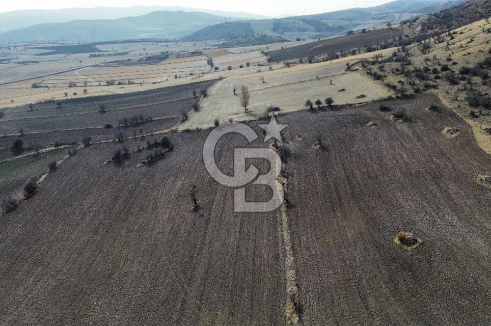 Çankaya Tohumlar 1880m2 Güzel Konumda Tarla