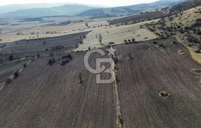 Çankaya Tohumlar 1880m2 Güzel Konumda Tarla
