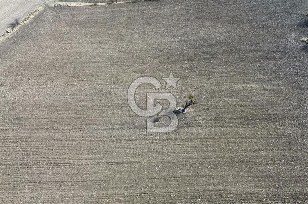 Çankaya Tohumlar 1880m2 Güzel Konumda Tarla