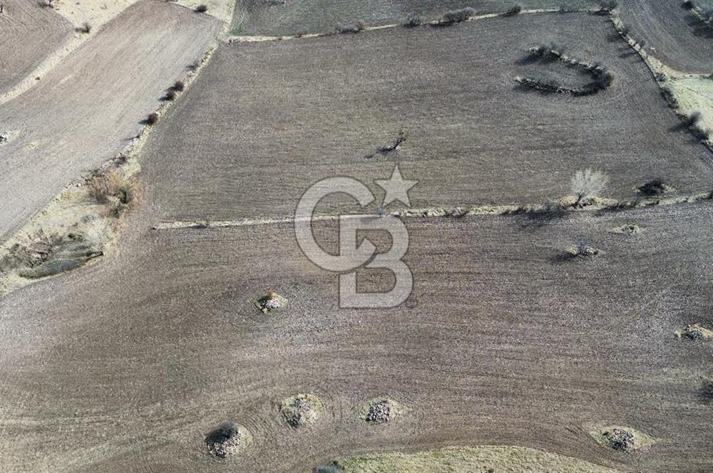 Çankaya Tohumlar 1880m2 Güzel Konumda Tarla