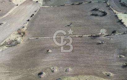 Çankaya Tohumlar 1880m2 Güzel Konumda Tarla