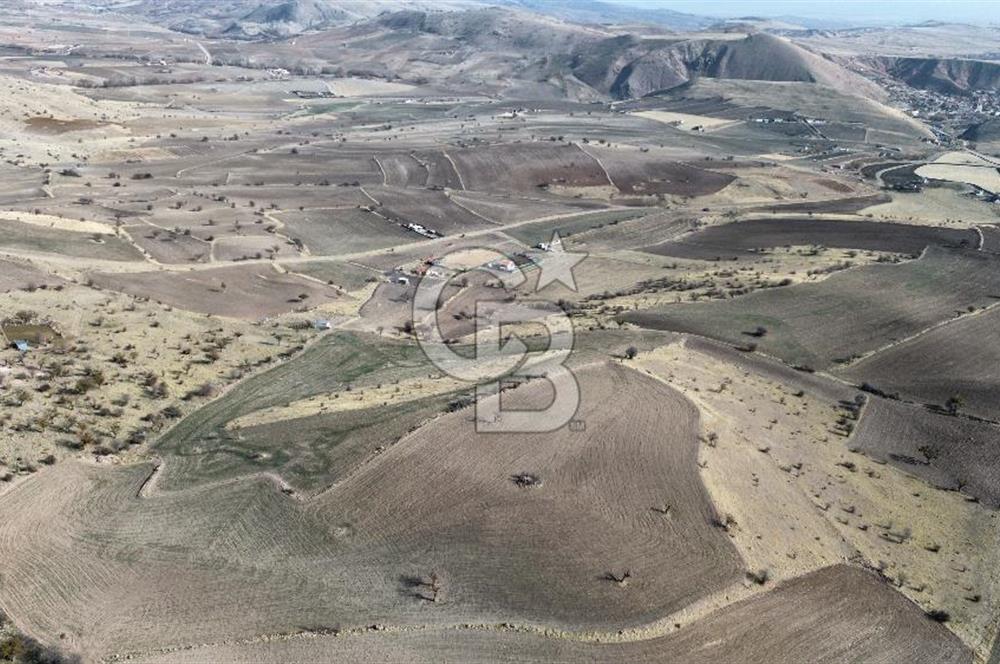 Çankaya Tohumlar 1880m2 Güzel Konumda Tarla