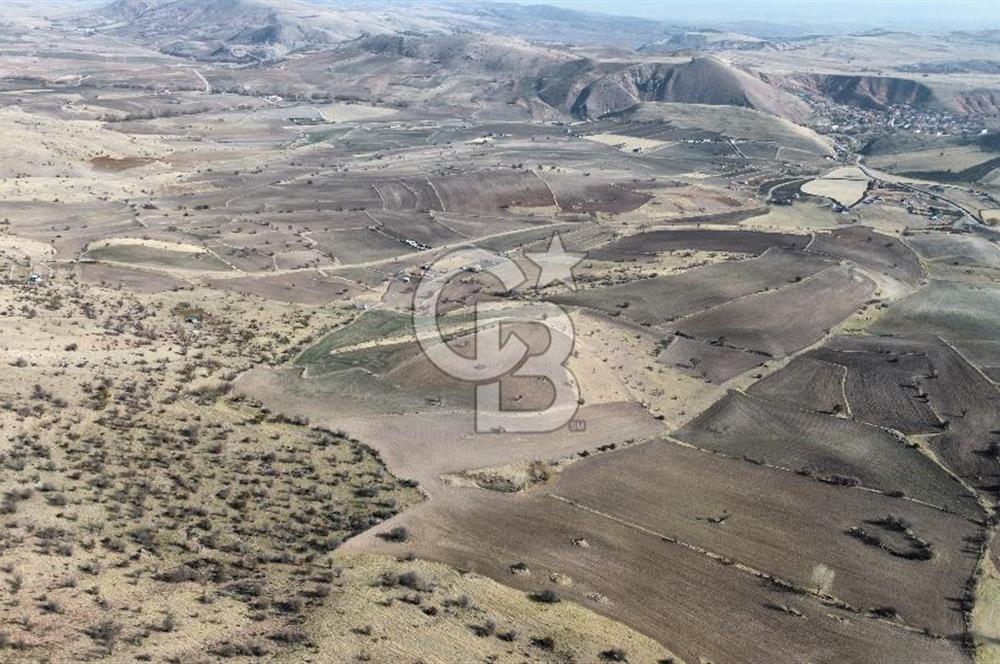 Çankaya Tohumlar 1880m2 Güzel Konumda Tarla