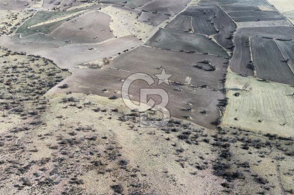 Çankaya Tohumlar 1880m2 Güzel Konumda Tarla