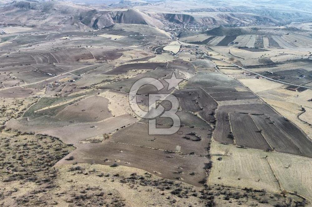 Çankaya Tohumlar 1880m2 Güzel Konumda Tarla