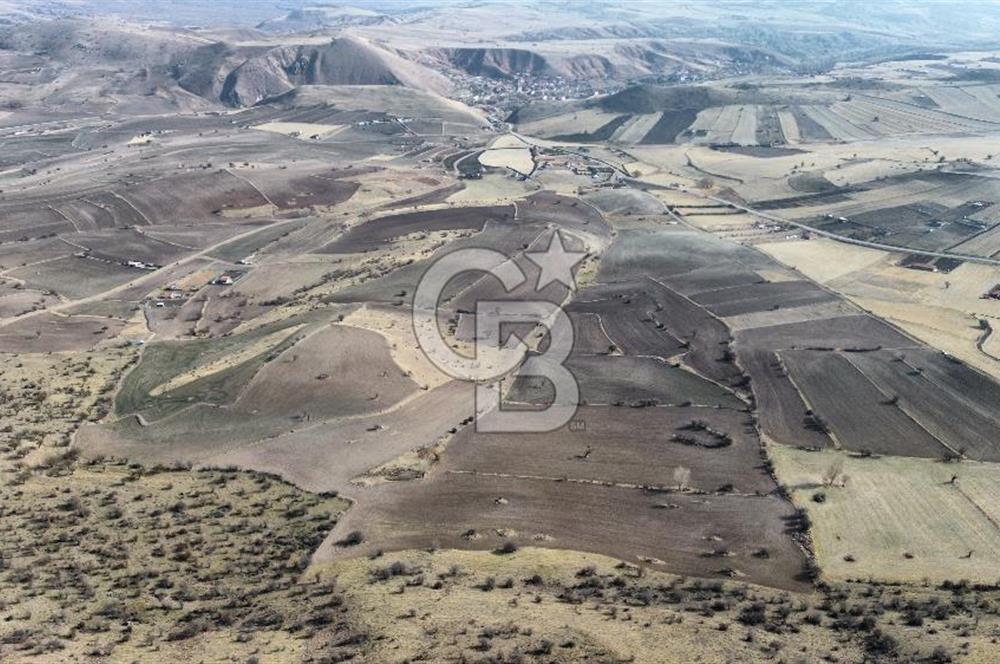 Çankaya Tohumlar 1880m2 Güzel Konumda Tarla