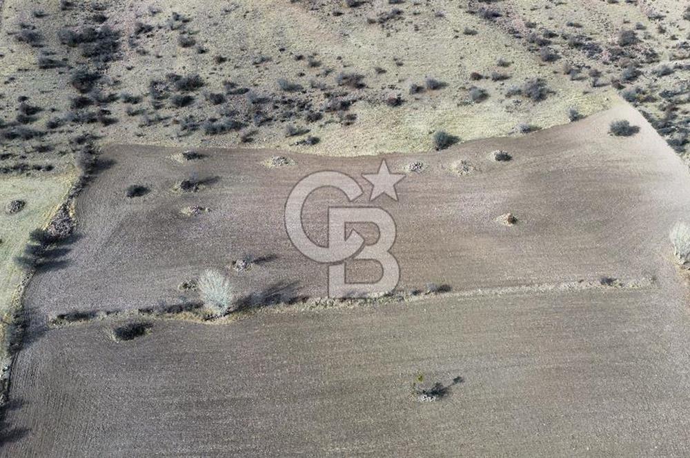 Çankaya Tohumlar 1880m2 Güzel Konumda Tarla