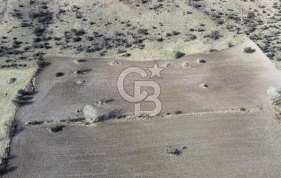 Çankaya Tohumlar 1880m2 Güzel Konumda Tarla