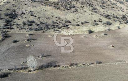 Çankaya Tohumlar 1880m2 Güzel Konumda Tarla