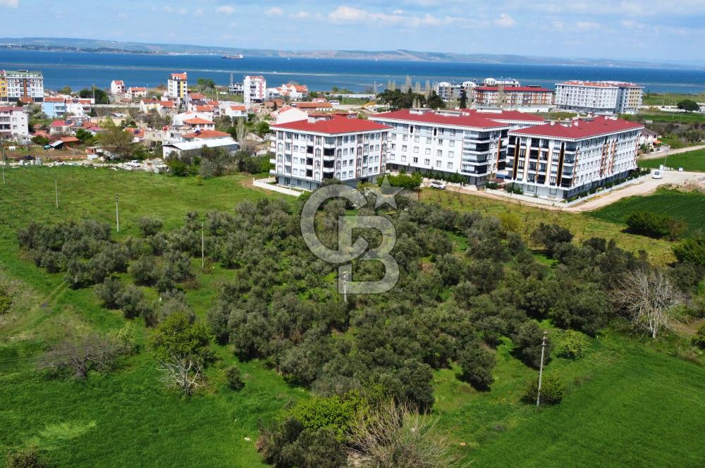 Çanakkale Lapseki Çardak Konaklarına Komşu %30 2 Kat İmarlı Arsa