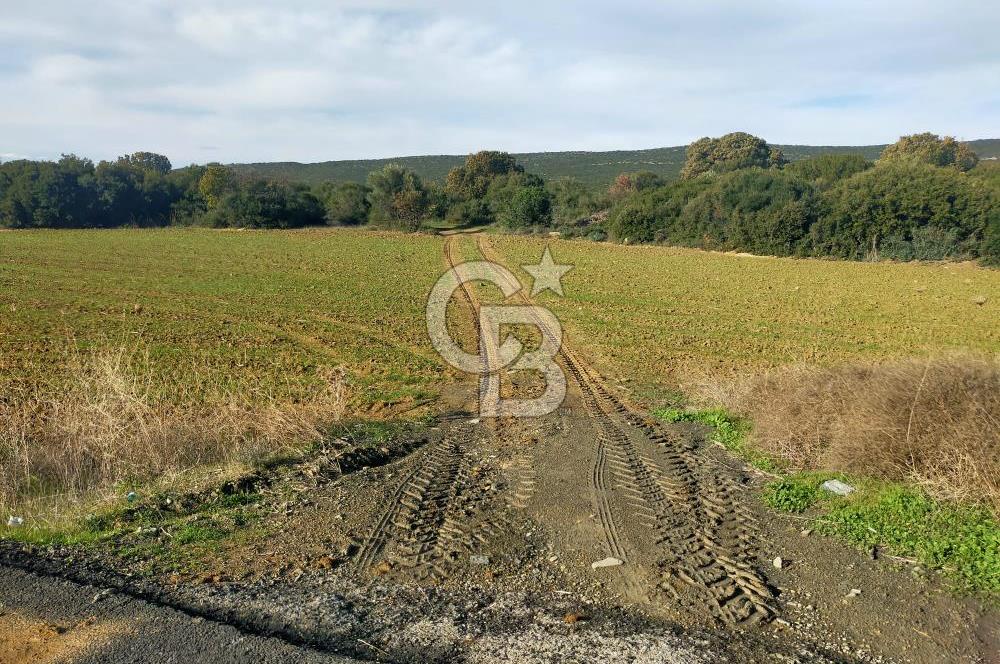 Yola Cepheli Küçükanafartalarda Ada 350 Parsel 69 | Tarla