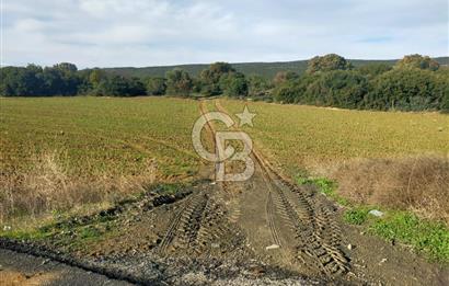 Yola Cepheli Küçükanafartalarda Ada 350 Parsel 69 | Tarla