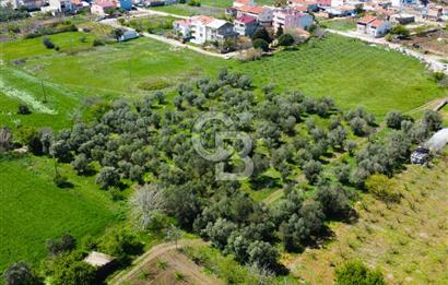 Çanakkale Lapseki Çardak Konaklarına Komşu %30 2 Kat İmarlı Arsa
