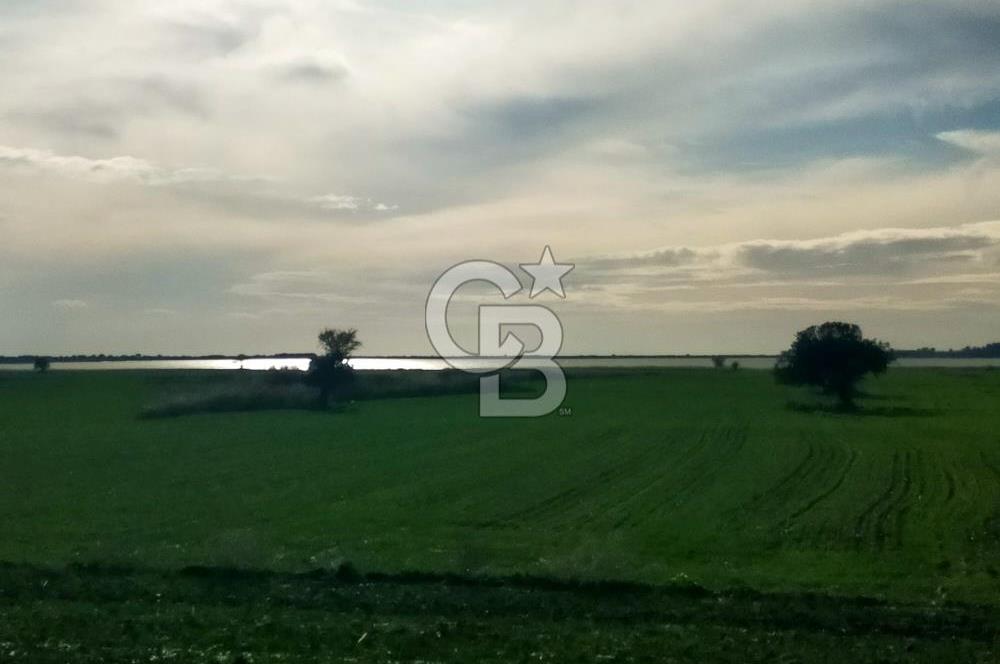 Göl Manzaralı | Küçükanafartalar Ada 350 Parsel 303 | Tarla