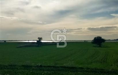 Göl Manzaralı | Küçükanafartalar Ada 350 Parsel 303 | Tarla