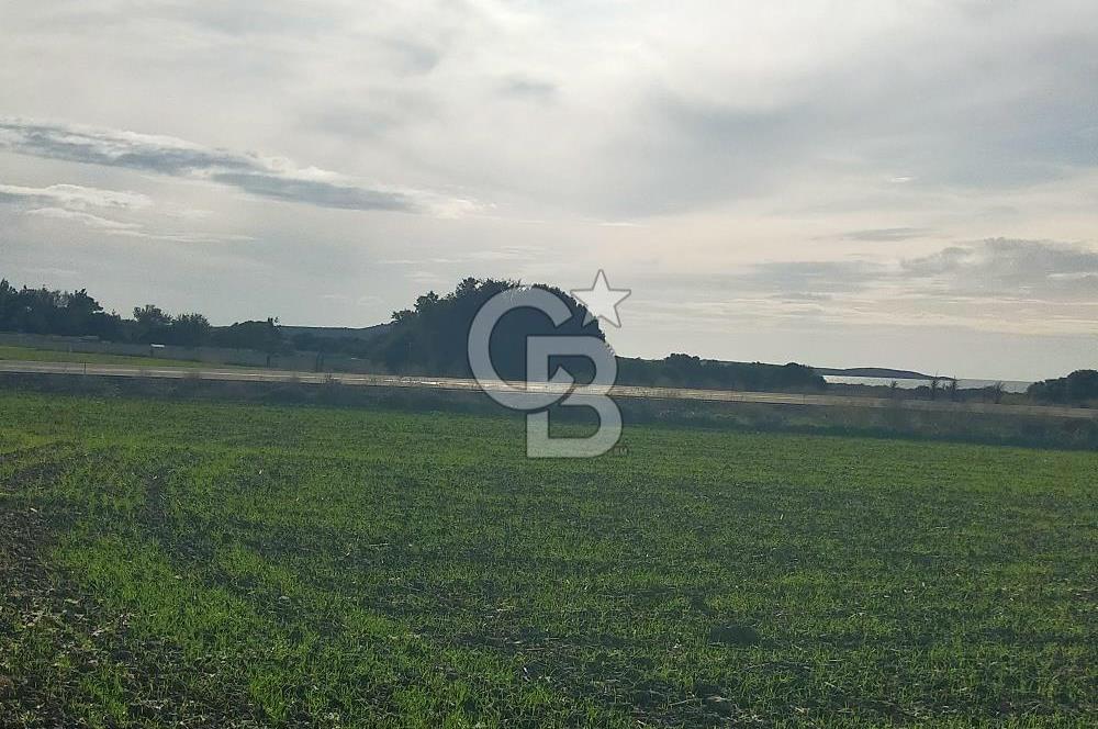 Yola Cepheli Küçükanafartalarda Ada 350 Parsel 69 | Tarla