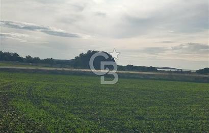 Yola Cepheli Küçükanafartalarda Ada 350 Parsel 69 | Tarla