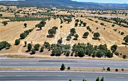 OPİA'DAN ''BEYLERHAN'DA İZMİR/ANKARA YOLUNA CEPHE FIRSAT TARLA''