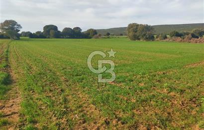 Yola Cepheli Küçükanafartalarda Ada 350 Parsel 69 | Tarla