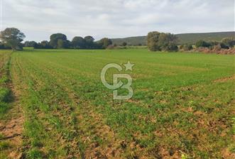 Yola Cepheli Küçükanafartalarda Ada 350 Parsel 69 | Tarla - 2 - 321291