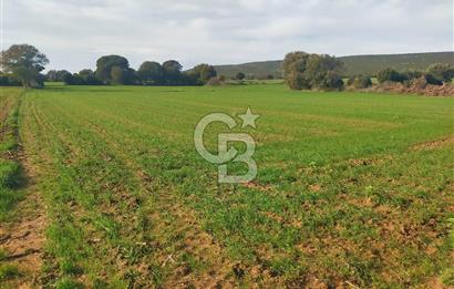 Yola Cepheli Küçükanafartalarda Ada 350 Parsel 69 | Tarla