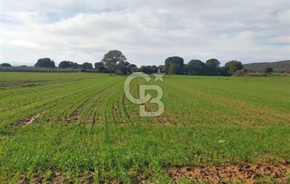 Yola Cepheli Küçükanafartalarda Ada 350 Parsel 69 | Tarla