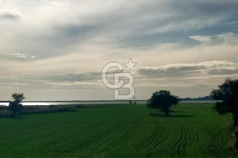 Göl Manzaralı | Küçükanafartalar Ada 350 Parsel 303 | Tarla