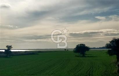 Göl Manzaralı | Küçükanafartalar Ada 350 Parsel 303 | Tarla