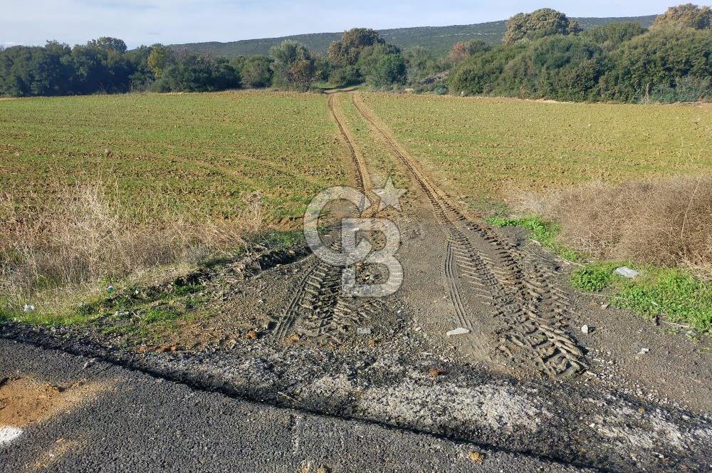 Yola Cepheli Küçükanafartalarda Ada 350 Parsel 69 | Tarla