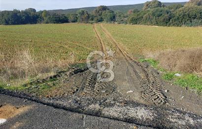 Yola Cepheli Küçükanafartalarda Ada 350 Parsel 69 | Tarla