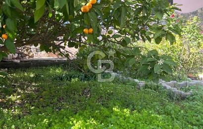 Karaburun Çatalkaya'da Deniz Manzaralı Müstakil Ev